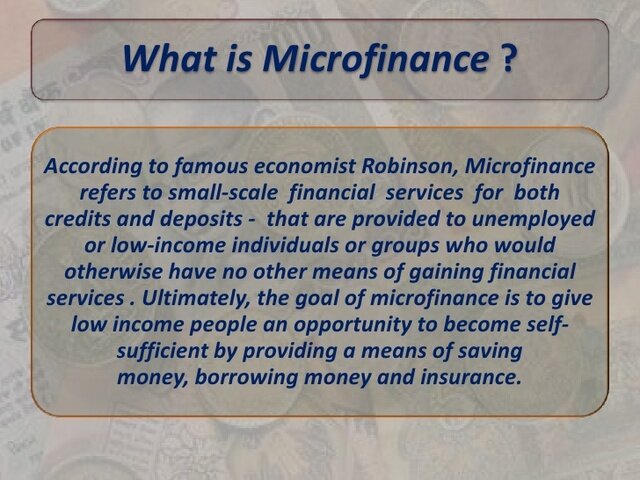 Advantages and disadvantages of microcredit